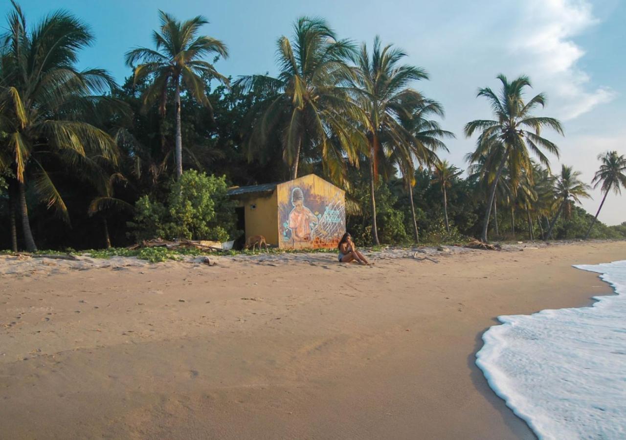 Coccoloba Beach Hostel Dibulla Exterior foto