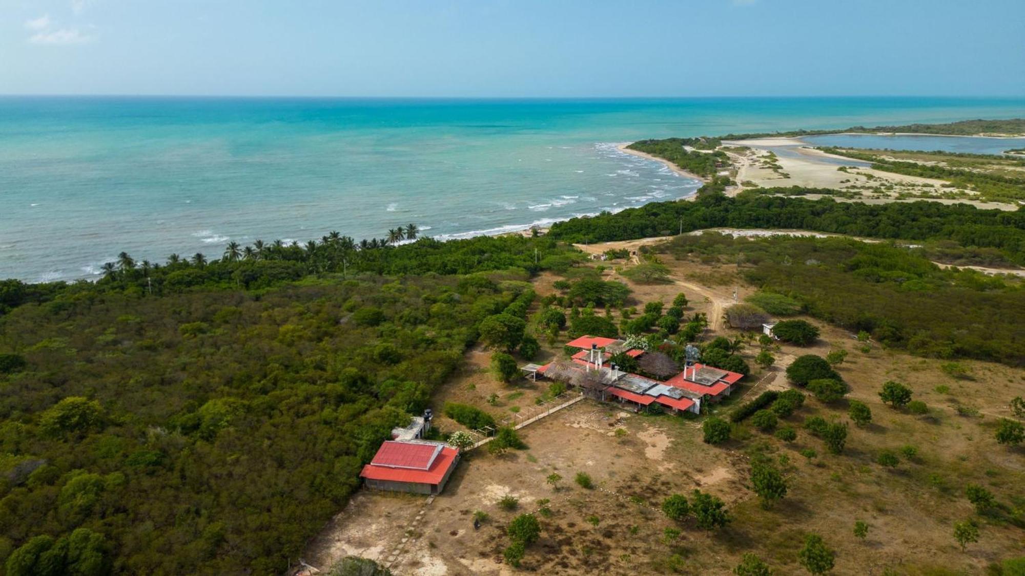 Coccoloba Beach Hostel Dibulla Exterior foto