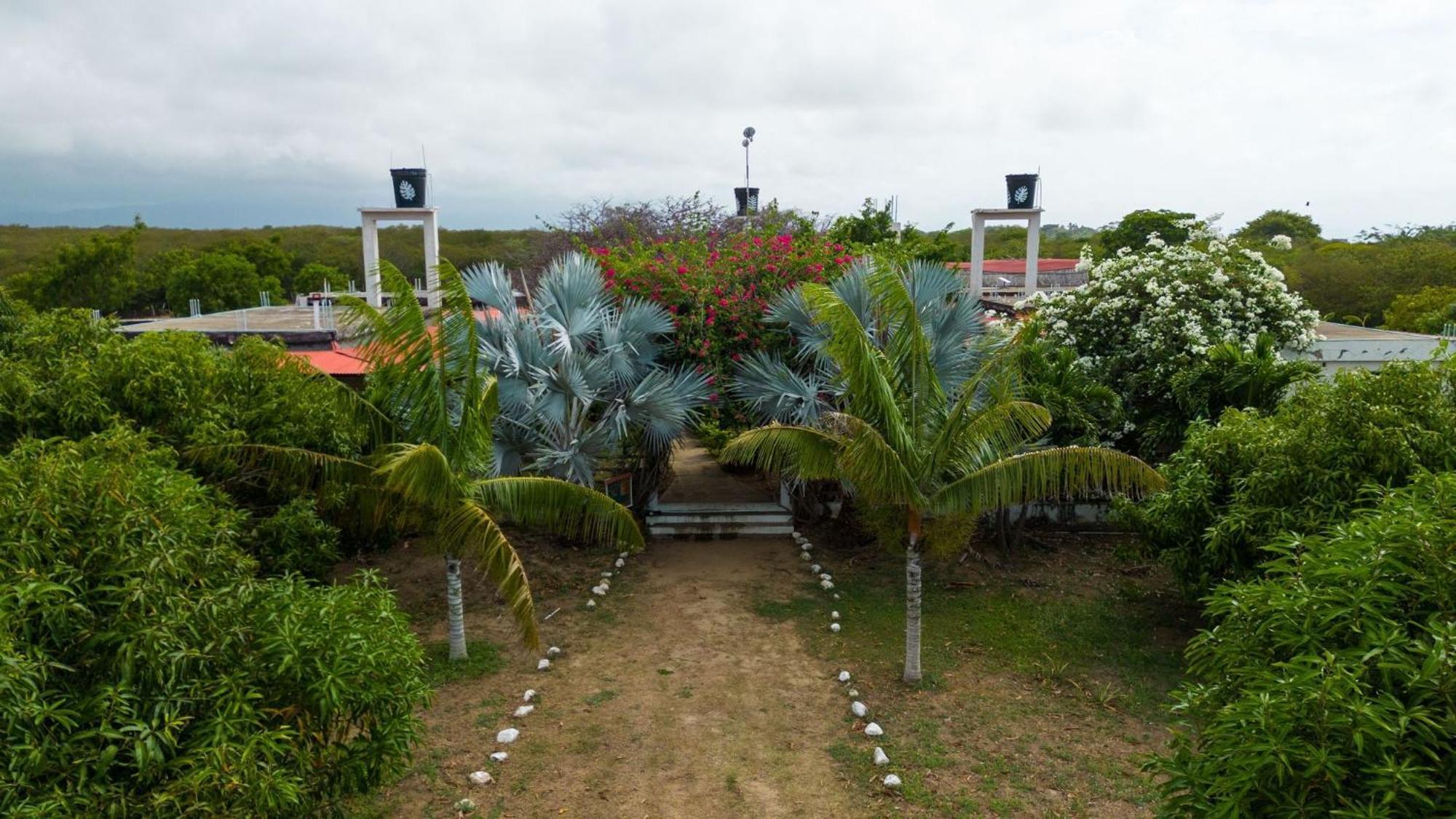 Coccoloba Beach Hostel Dibulla Exterior foto