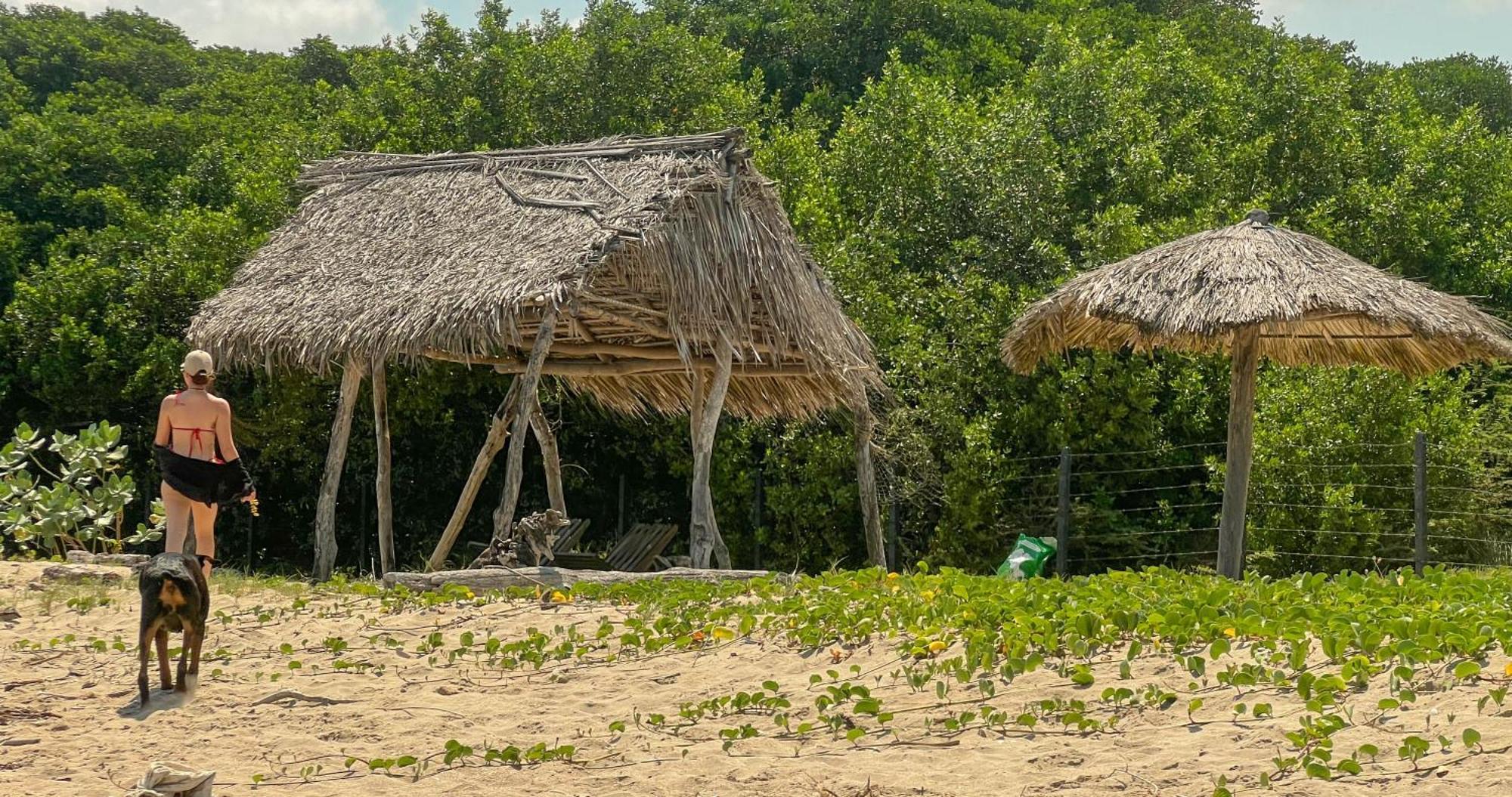 Coccoloba Beach Hostel Dibulla Exterior foto