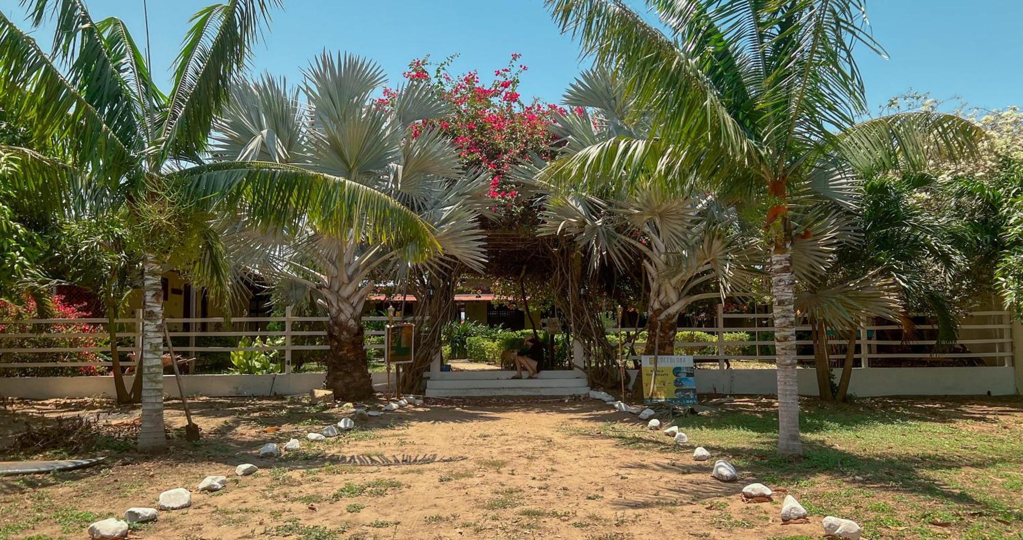 Coccoloba Beach Hostel Dibulla Exterior foto