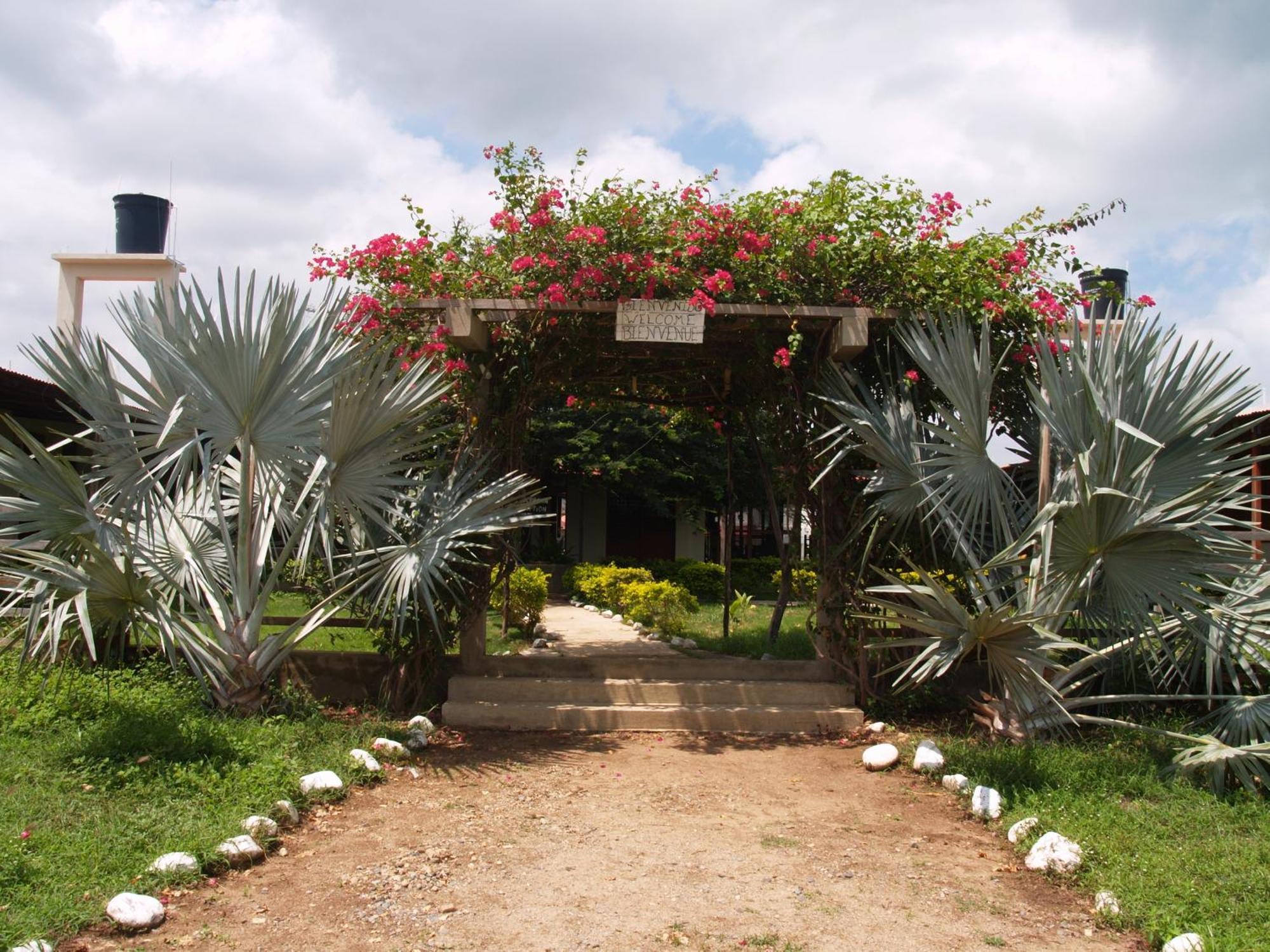 Coccoloba Beach Hostel Dibulla Exterior foto