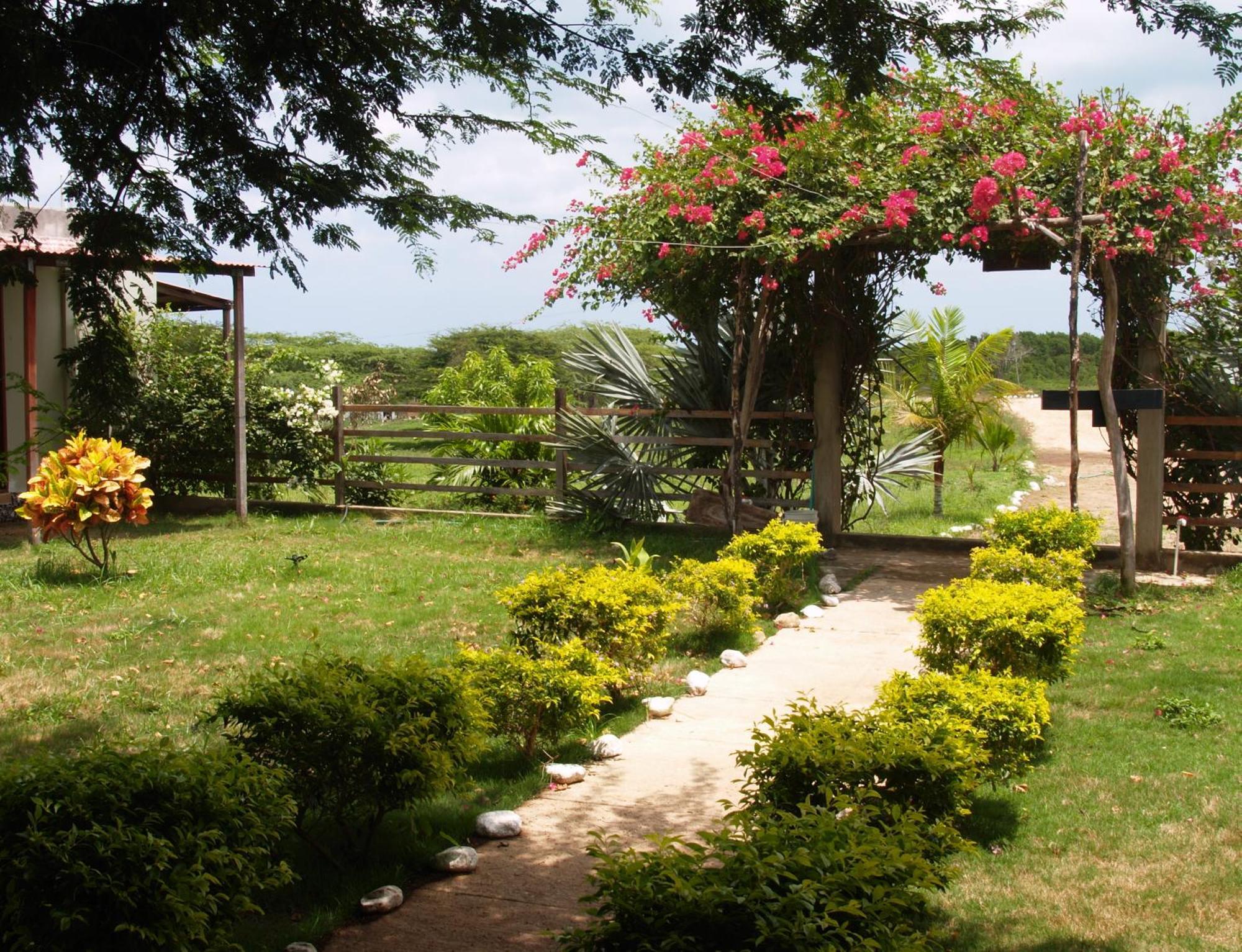 Coccoloba Beach Hostel Dibulla Exterior foto