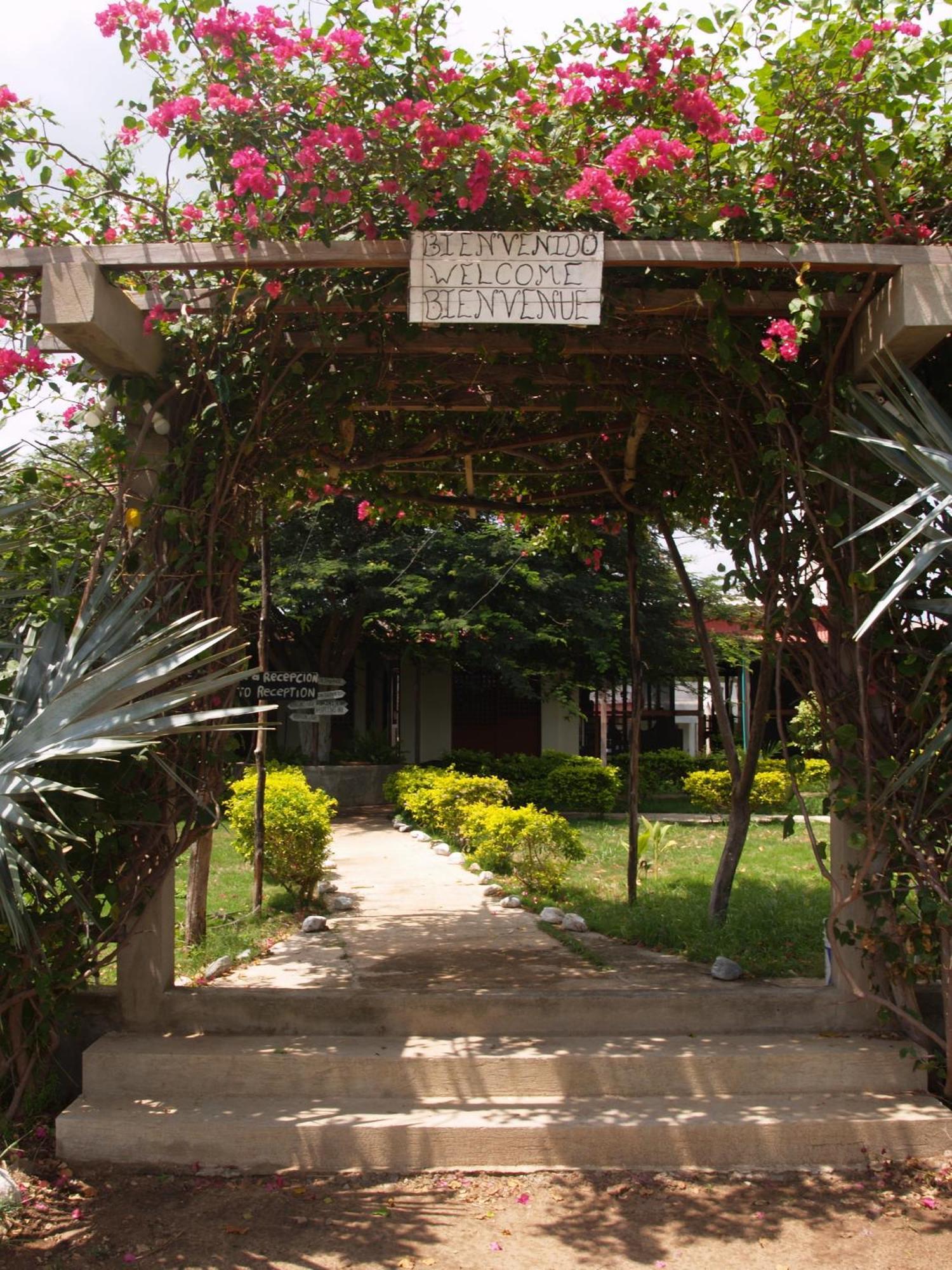 Coccoloba Beach Hostel Dibulla Exterior foto